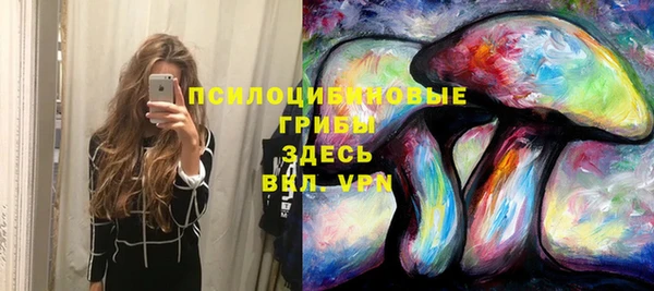 дживик Алзамай