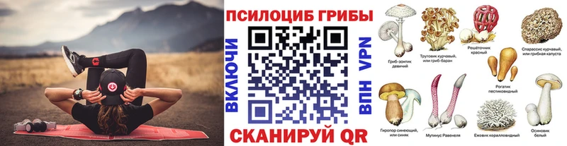 дарнет шоп Пермь Псилоцибиновые грибы Cubensis